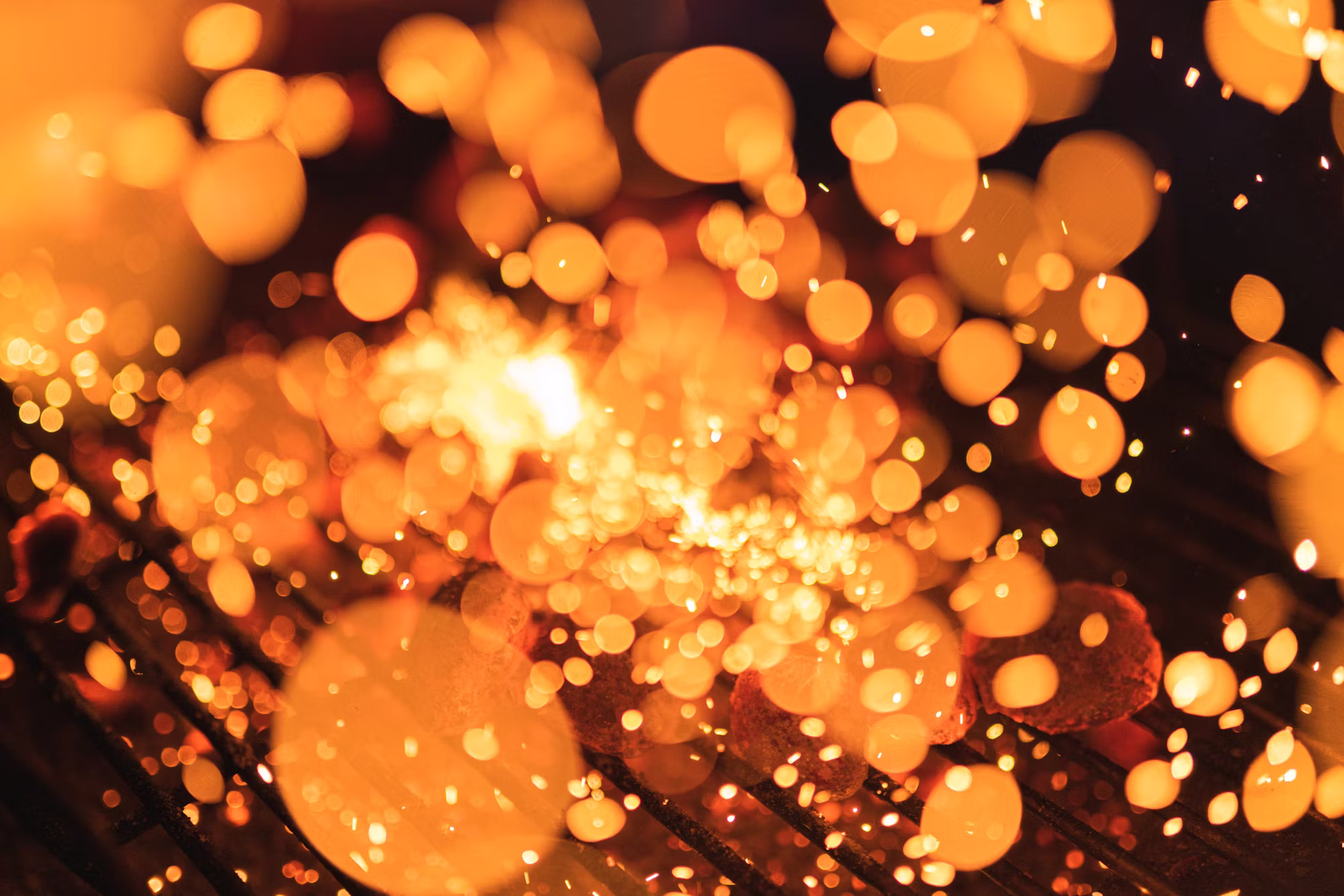 From Farm to Table: Understanding Meat Production and Its Impact